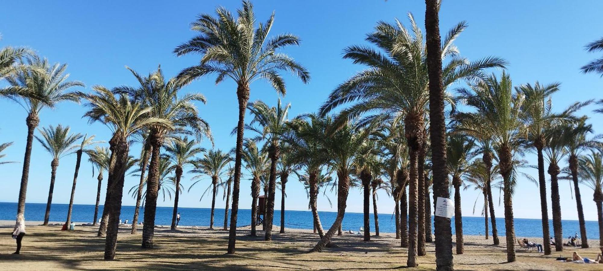 San Antonio - Beach, Pool And Terrace Торремолинос Экстерьер фото